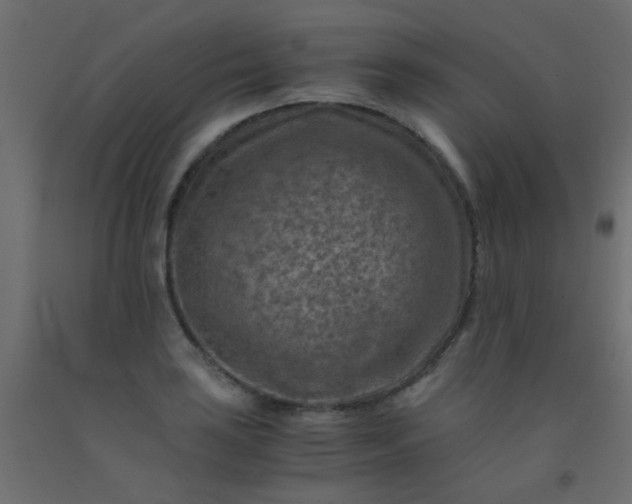 X0000093101035200710101533