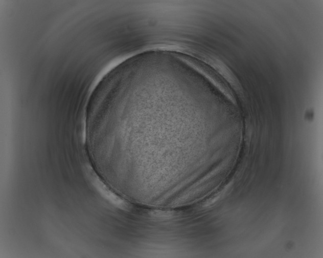 X0000093101036200710101533