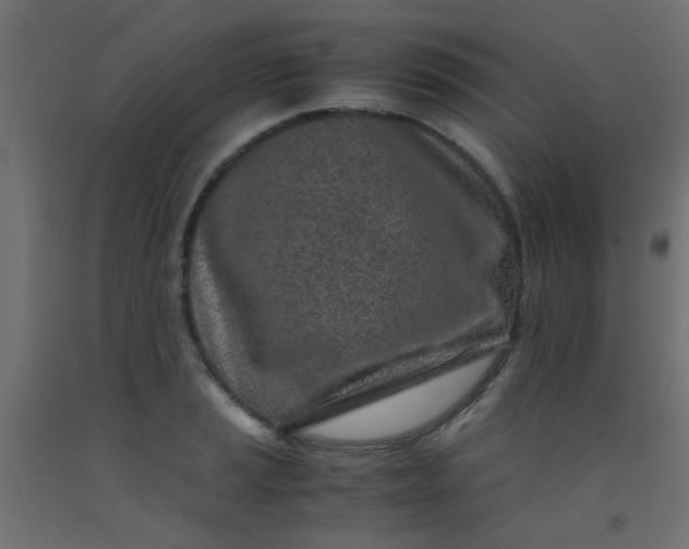 X0000093101037200710101533