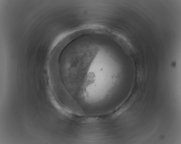X0000093101038200710101533
