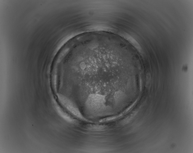 X0000093101039200710101534