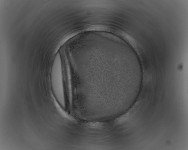 X0000093101041200710101534
