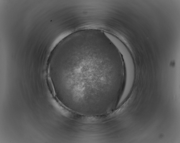 X0000093101042200710101534