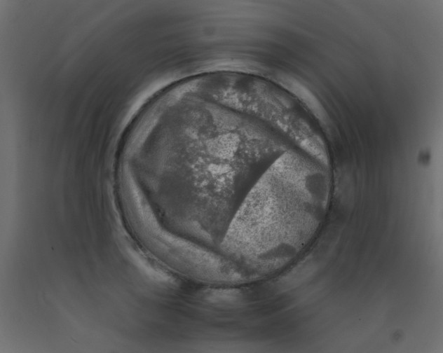 X0000093101043200710101534