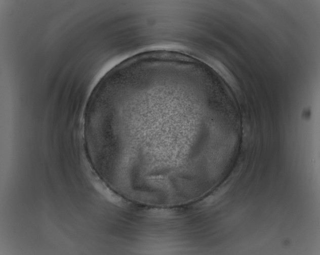X0000093101044200710101534