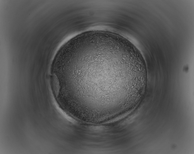 X0000093101045200710101534