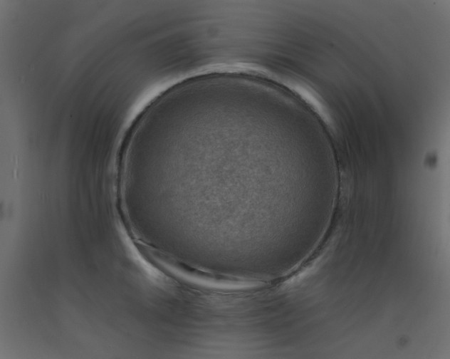 X0000093101046200710101534