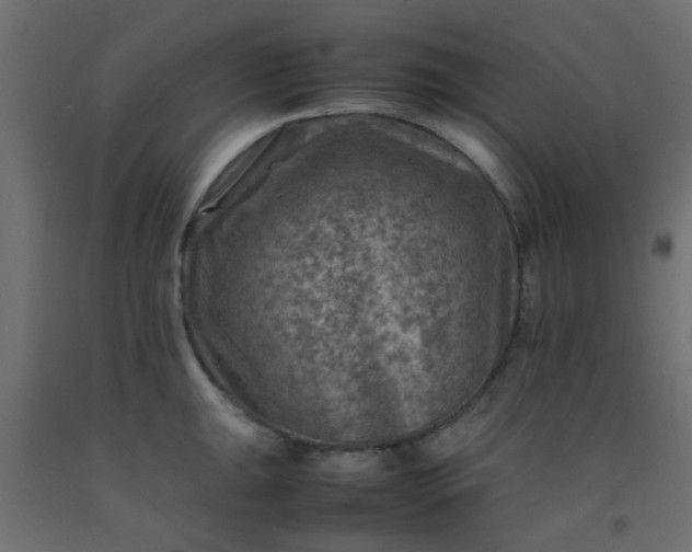 X0000093101047200710101534