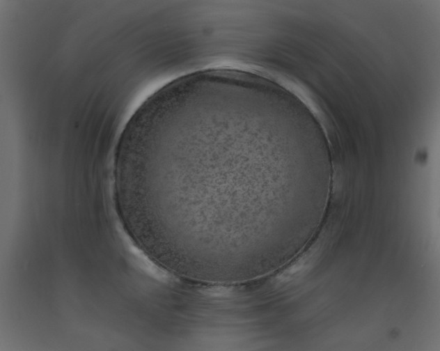 X0000093101048200710101534