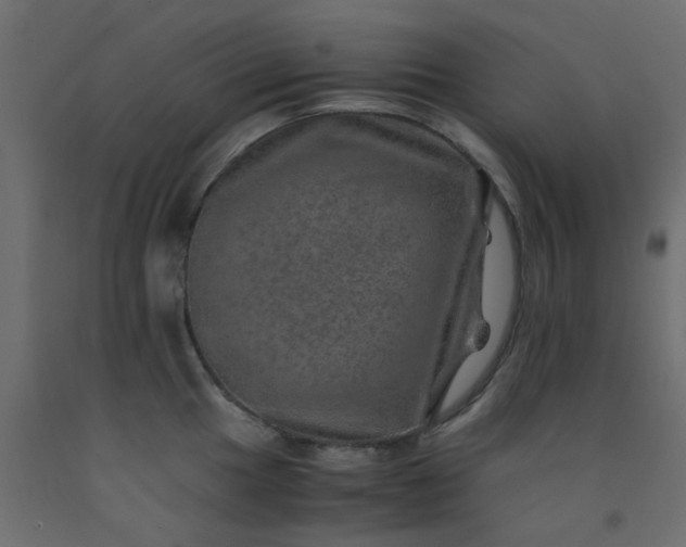 X0000093101049200710101534