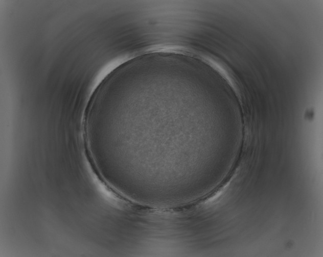 X0000093101050200710101534