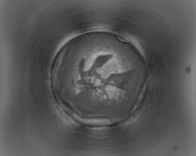 X0000093101051200710101534