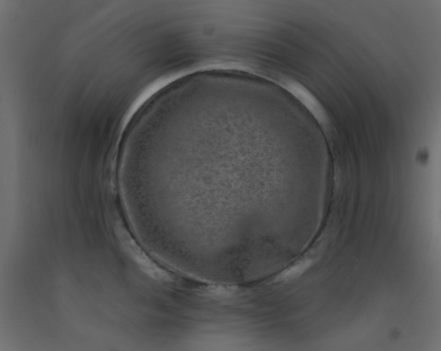 X0000093101052200710101534