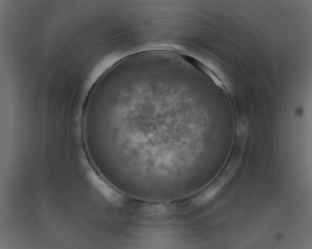 X0000093101054200710101534