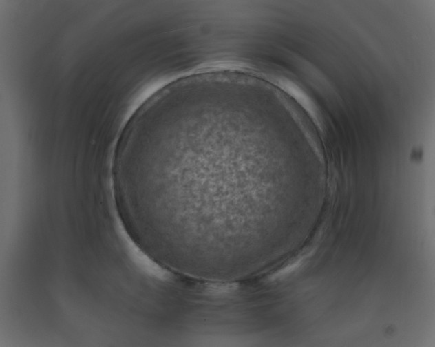 X0000093101055200710101534