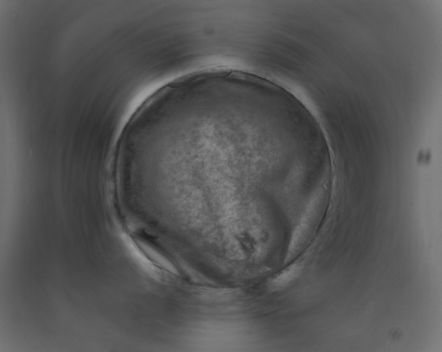 X0000093101056200710101534