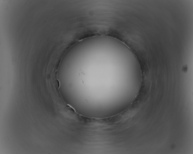 X0000093101057200710101533