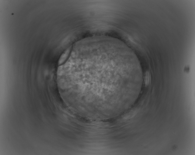 X0000093101059200710101533