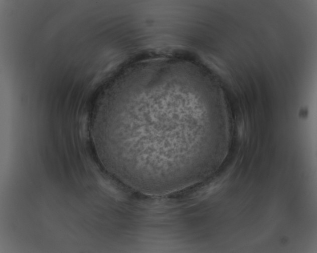 X0000093101060200710101533