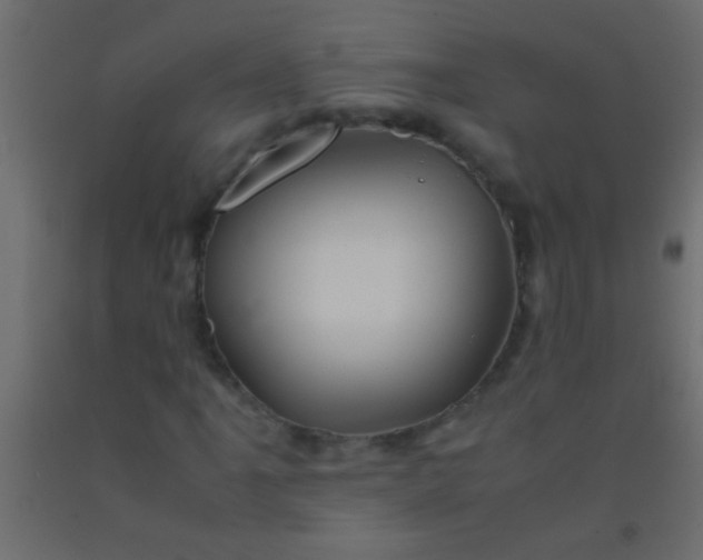 X0000093101061200710101533