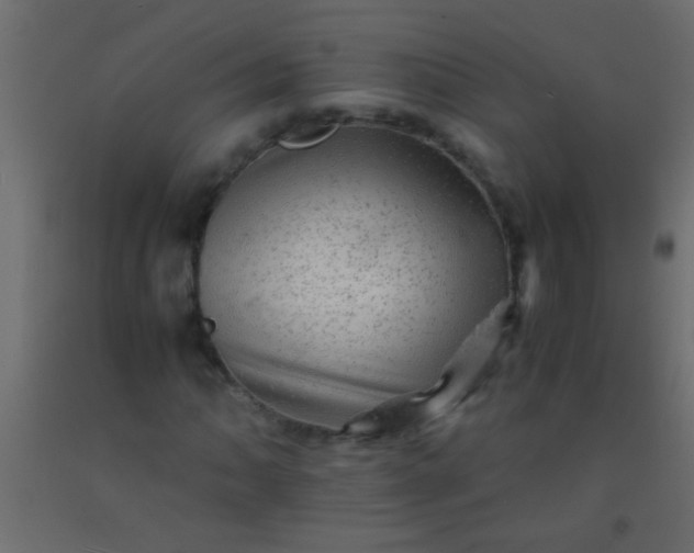 X0000093101062200710101533