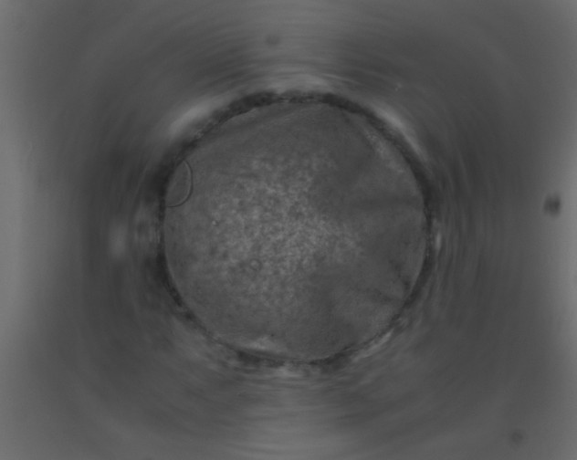 X0000093101063200710101533
