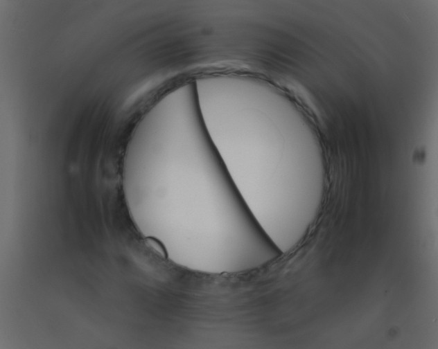 X0000093101064200710101533