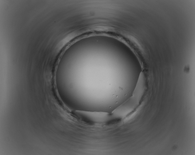 X0000093101065200710101533