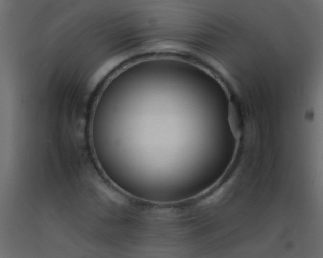 X0000093101066200710101533
