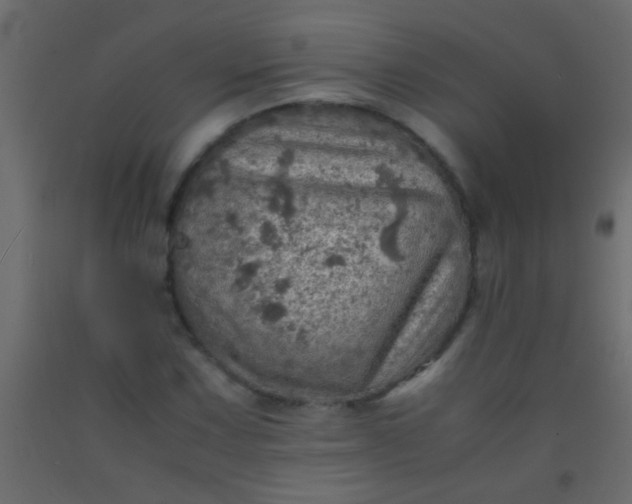 X0000093101067200710101533