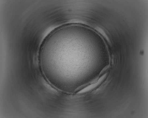 X0000093101068200710101533