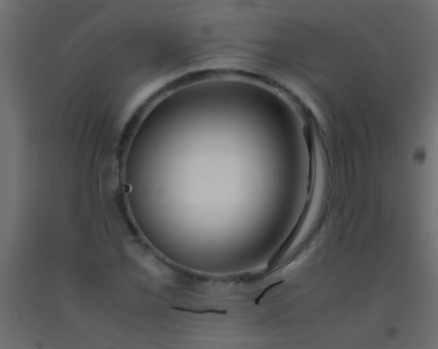 X0000093101069200710101533