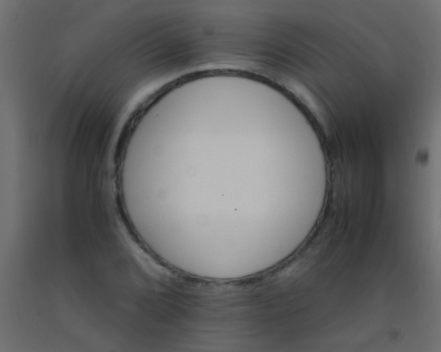 X0000093101072200710101533