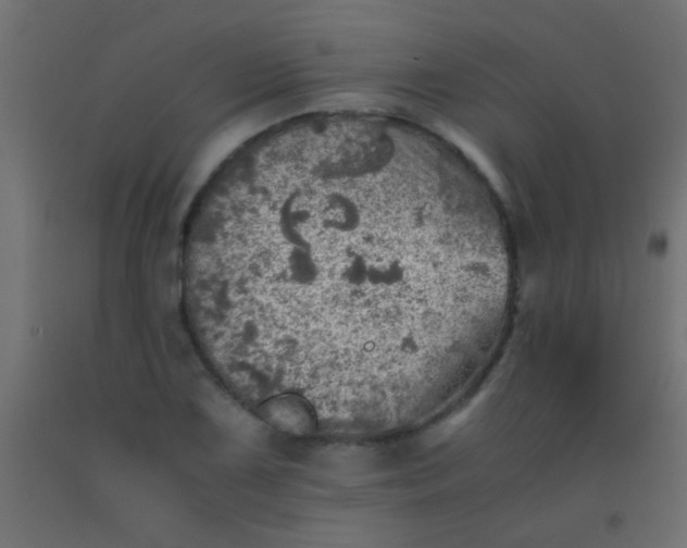 X0000093101075200710101533