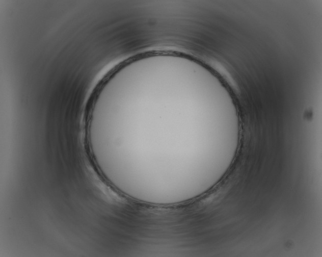 X0000093101076200710101533