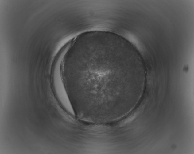 X0000093101077200710101533