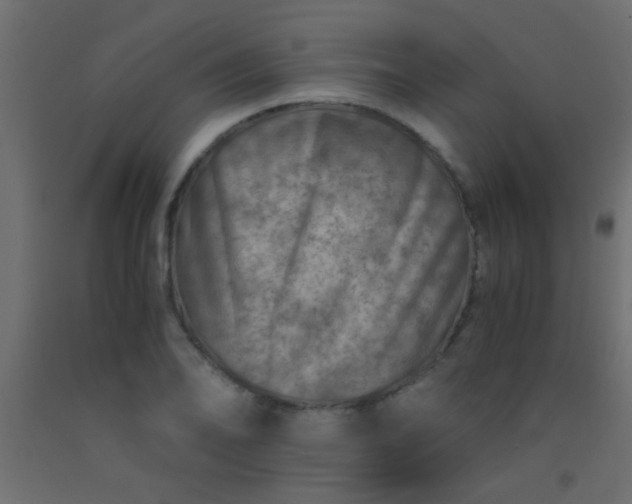 X0000093101078200710101533
