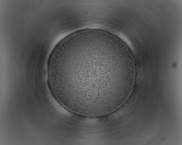 X0000093101080200710101533