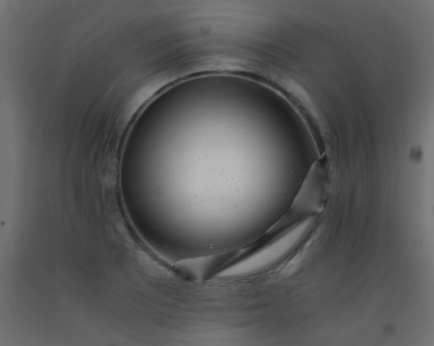 X0000093101081200710101533