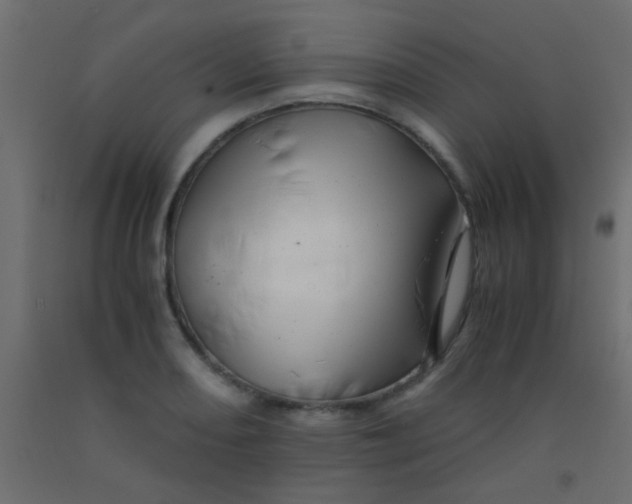 X0000093101082200710101533