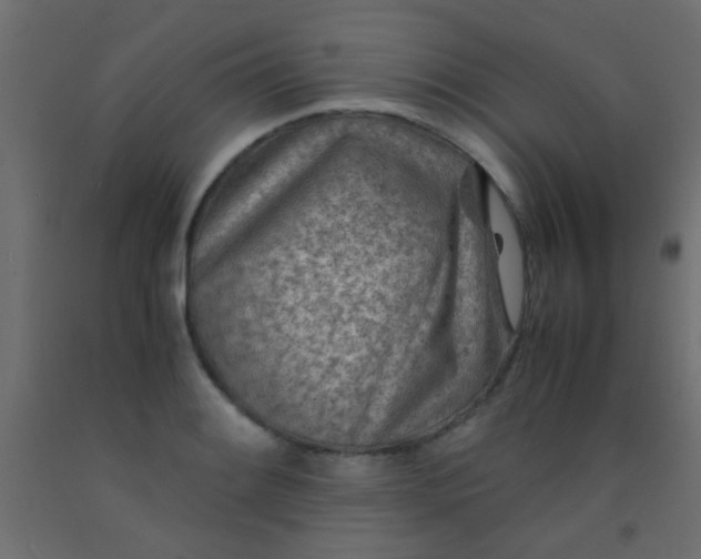 X0000093101084200710101533
