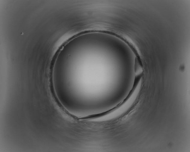 X0000093101085200710101533