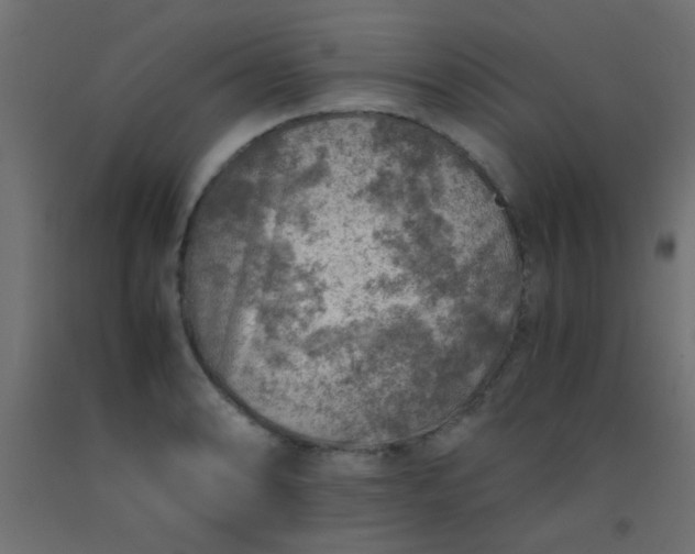 X0000093101086200710101533