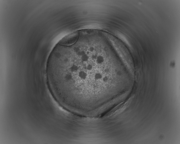 X0000093101087200710101533