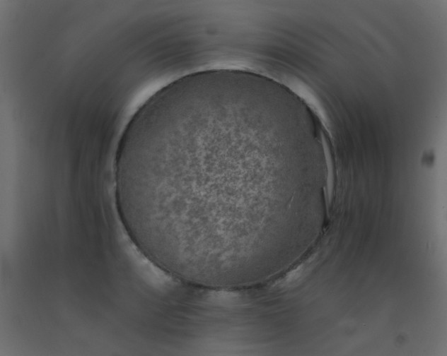 X0000093101088200710101533