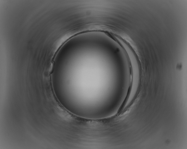 X0000093101089200710101533