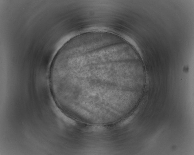 X0000093101090200710101533