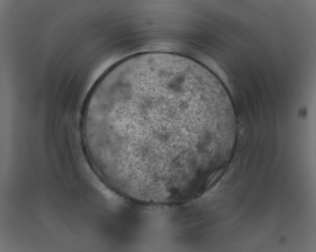 X0000093101091200710101533