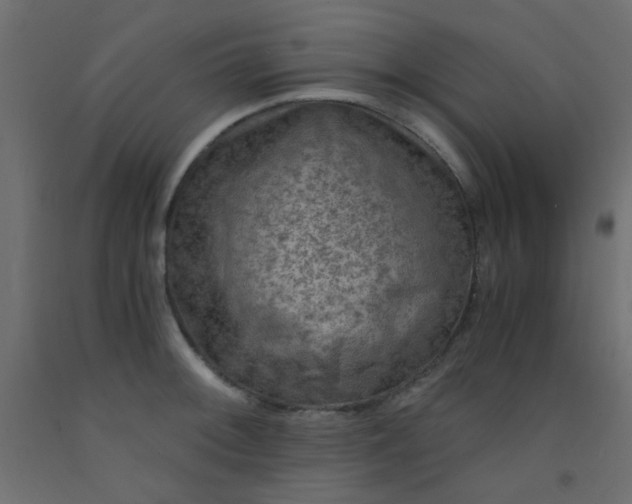 X0000093101092200710101533