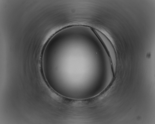 X0000093101093200710101533